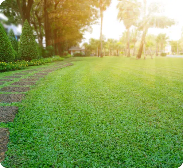 Hybrid Lawn Care (1)