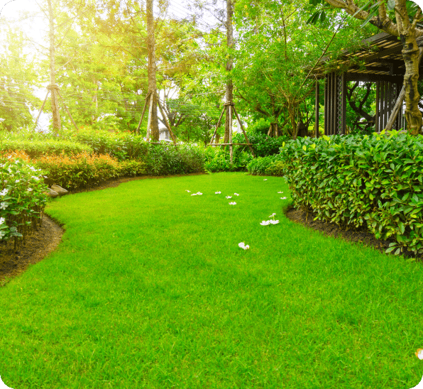 Hybrid Lawn Care (2)