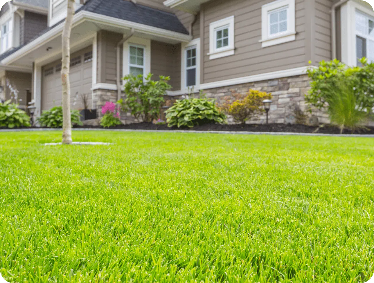 full service lawn care service near me