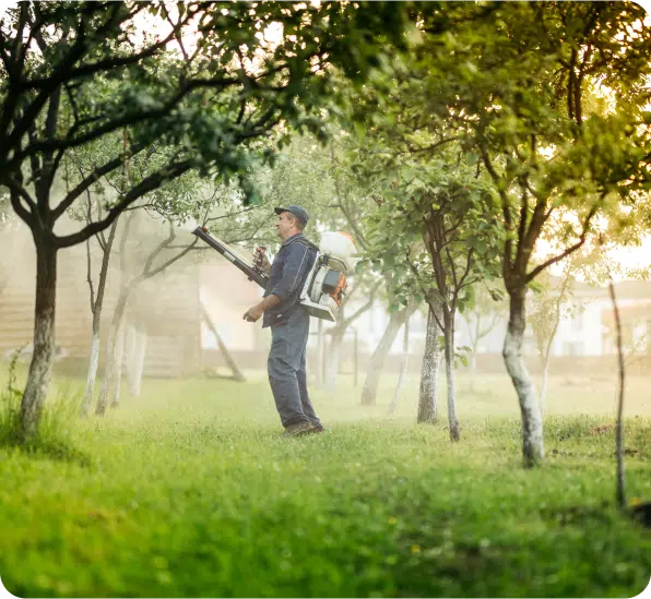 Mosquito Control (3)