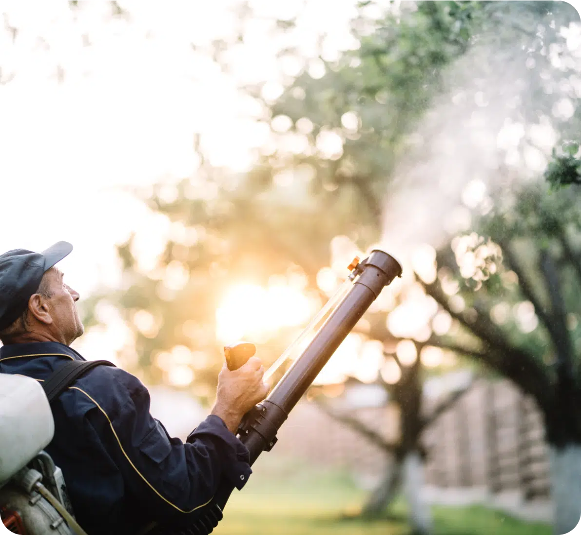 Mosquito Control