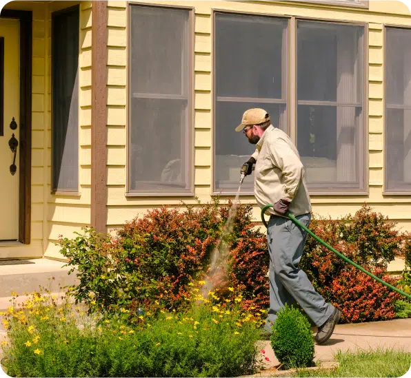 Pest Control (4)