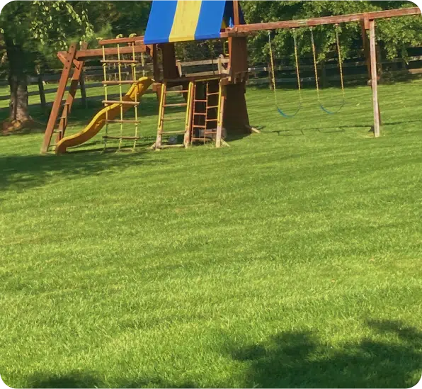 Traditional Lawn Care (2)