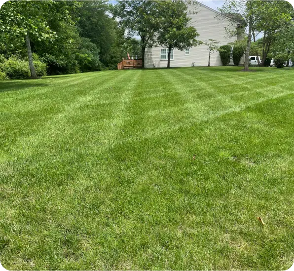 Traditional Lawn Care