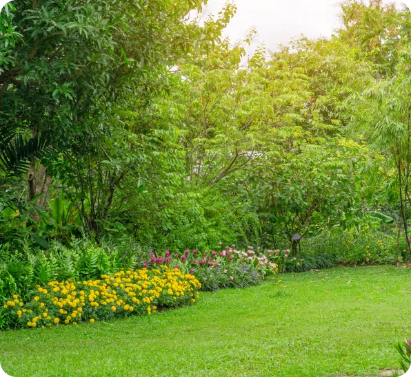 Tree and Shrub Care (2)