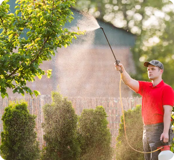 Tree and Shrub Care