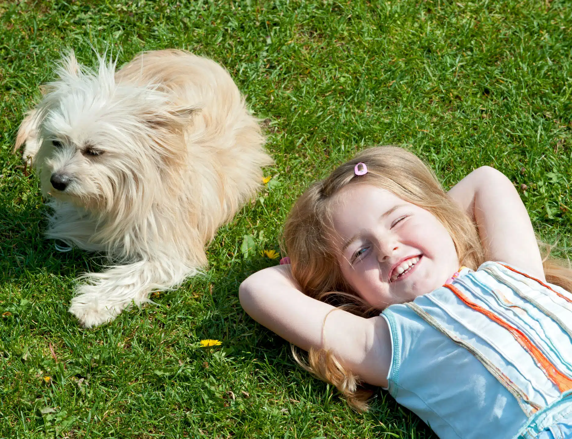full service residential lawn care service near me